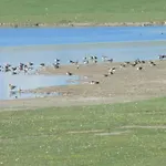 Haus-halligblick-ferienwohnung-langenness Appartement *