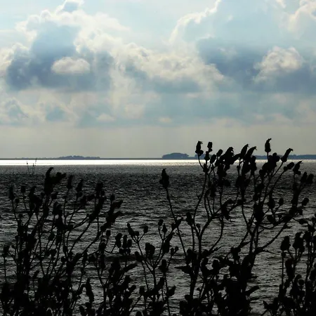 Appartement Haus-halligblick-ferienwohnung-langenness Dagebüll