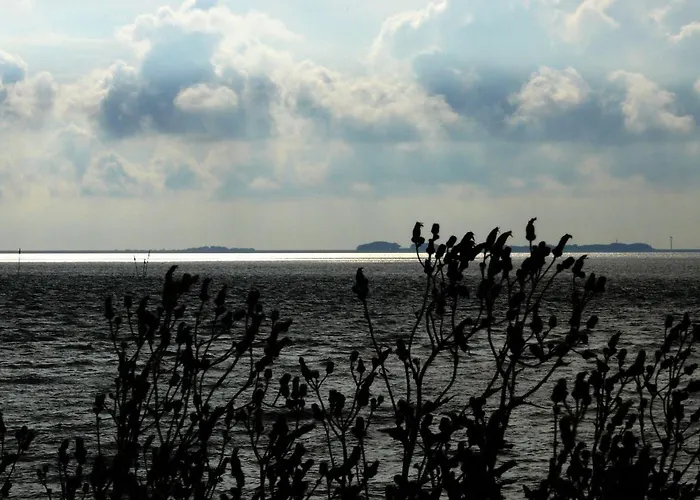 Appartement Haus-halligblick-ferienwohnung-langenness Dagebüll