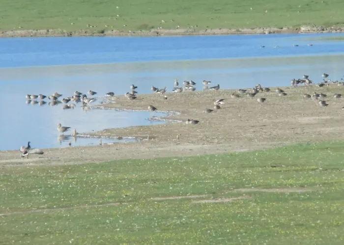Haus-halligblick-ferienwohnung-langenness Appartement *
